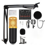 Ensemble de microphones de studio Kit de système d'enregistrement à condensateur Podcast sonore professionnel