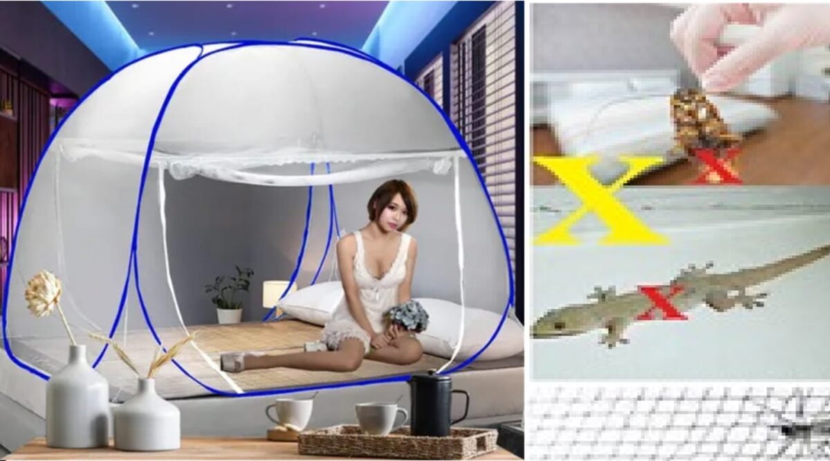 Moustiquaire Tente Efficace Pliable et Mobile