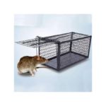 Piège À Souris - Cage - Noir