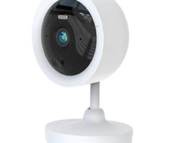 White dome-style security camera on a pedestal stand, facing forward.