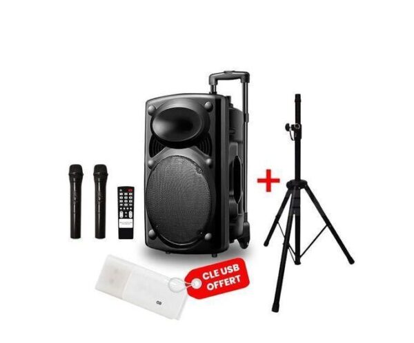 Karaoke speaker bundle with two wireless mics, remote, USB drive, and a tripod stand shown together.