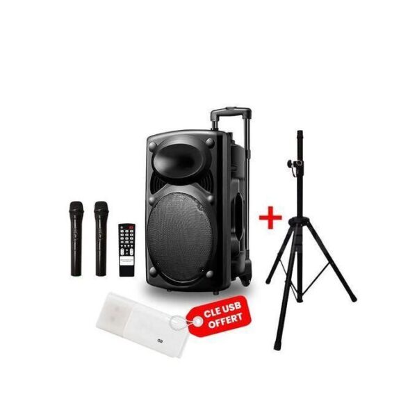 Karaoke speaker bundle with two wireless mics, remote, USB drive, and a tripod stand shown together.