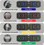 Infographie en français montrant quatre zones d'entraînement: triceps (bleu), dos (rouge), épaules (jaune), pectoraux (vert) avec un appareil versé au centre du design.