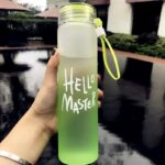 Gourde “Hello Master” Vert Dégradée